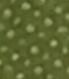 Green Multi