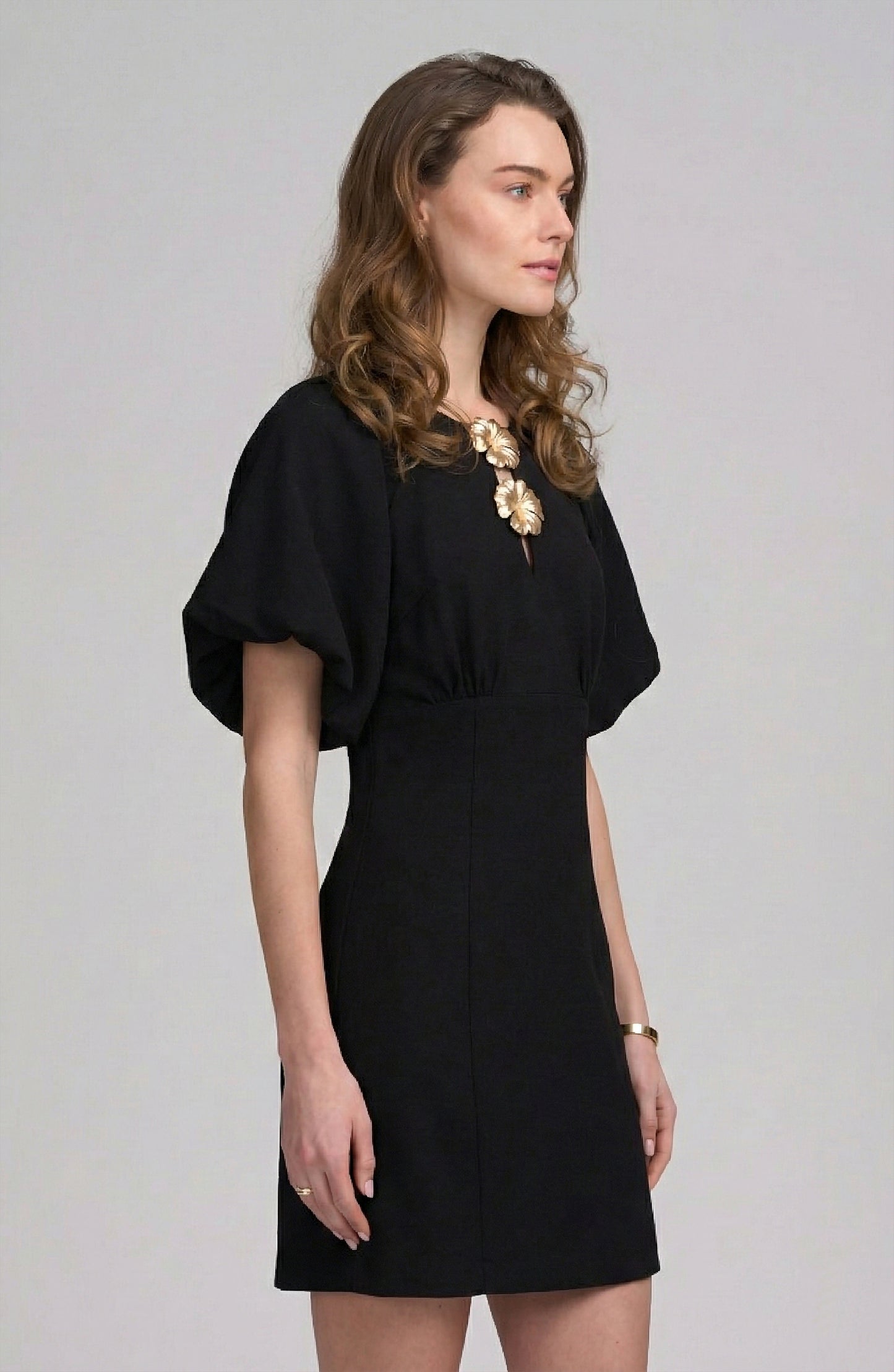 Balloon Sleeve Dress