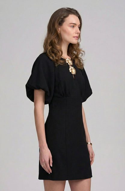 Balloon Sleeve Dress